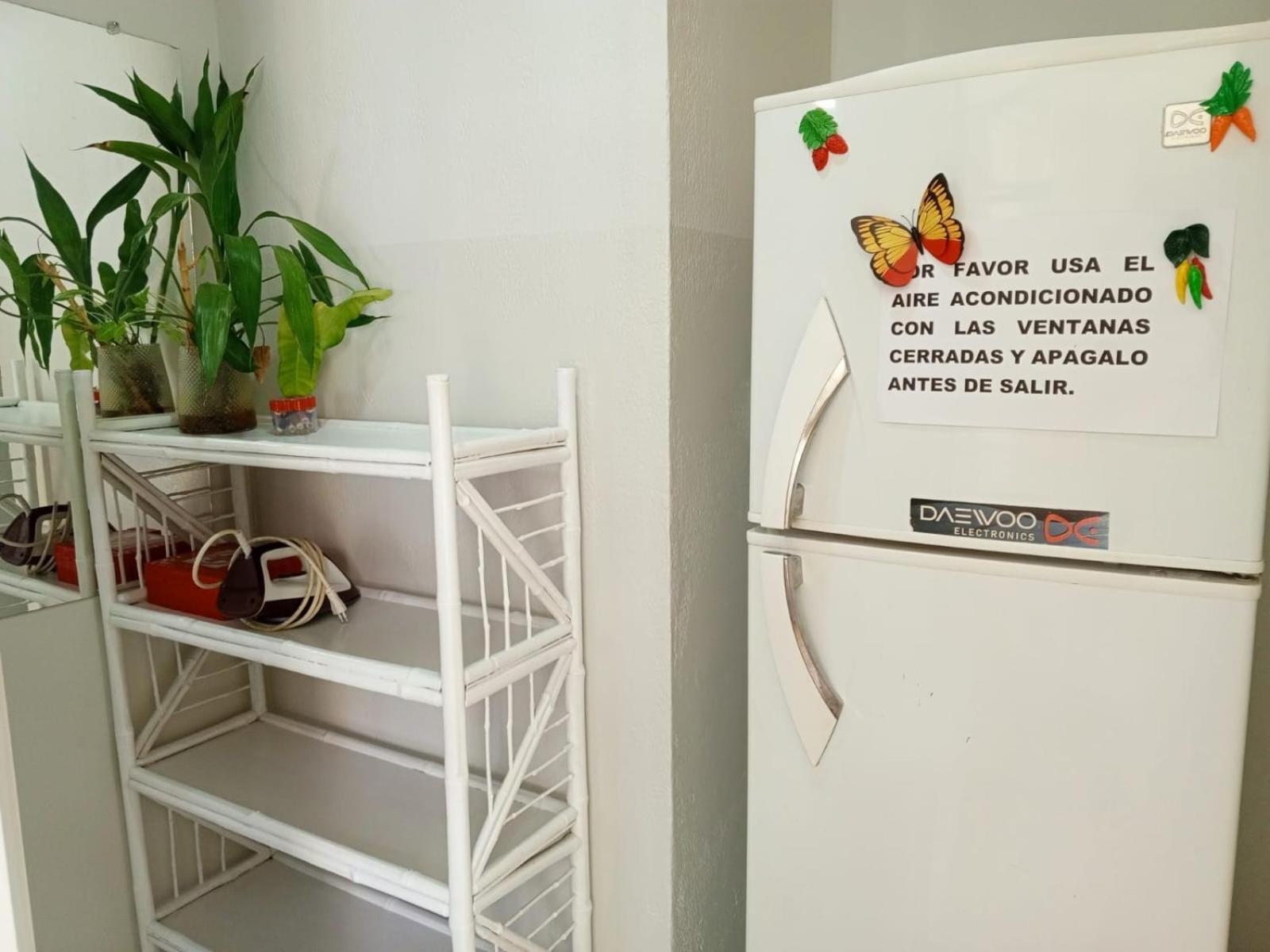 Pequeno Y Acogedor Departamento Con Garaje Y Recibe Pequenos Peluditos 圣克鲁斯 外观 照片